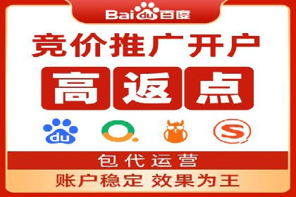 竞价托管服务对比：不同平台的优劣分析